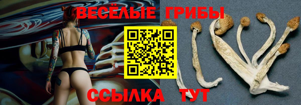 Галлюциногенные грибы мицелий  Галлюциногенные грибы GOLDEN TEACHER  Урай  Вход с VPN 